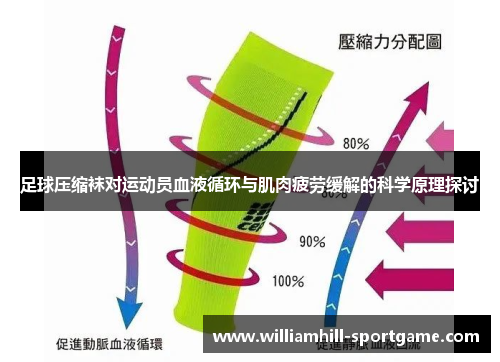 足球压缩袜对运动员血液循环与肌肉疲劳缓解的科学原理探讨